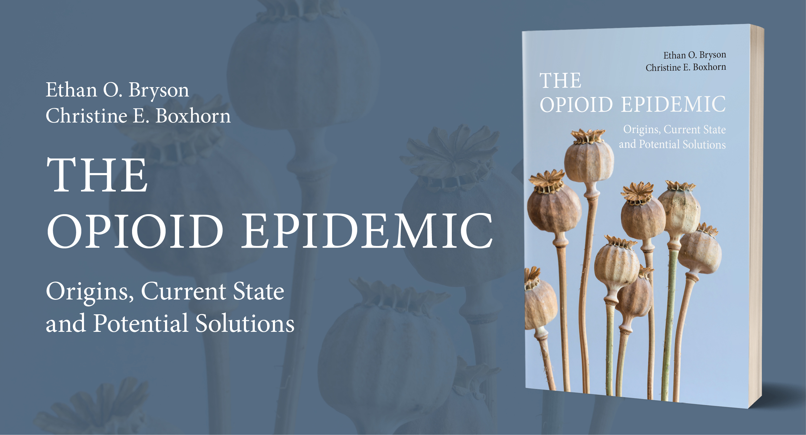 The Opioid Epidemic: Origins, Current State and Potential Solutions