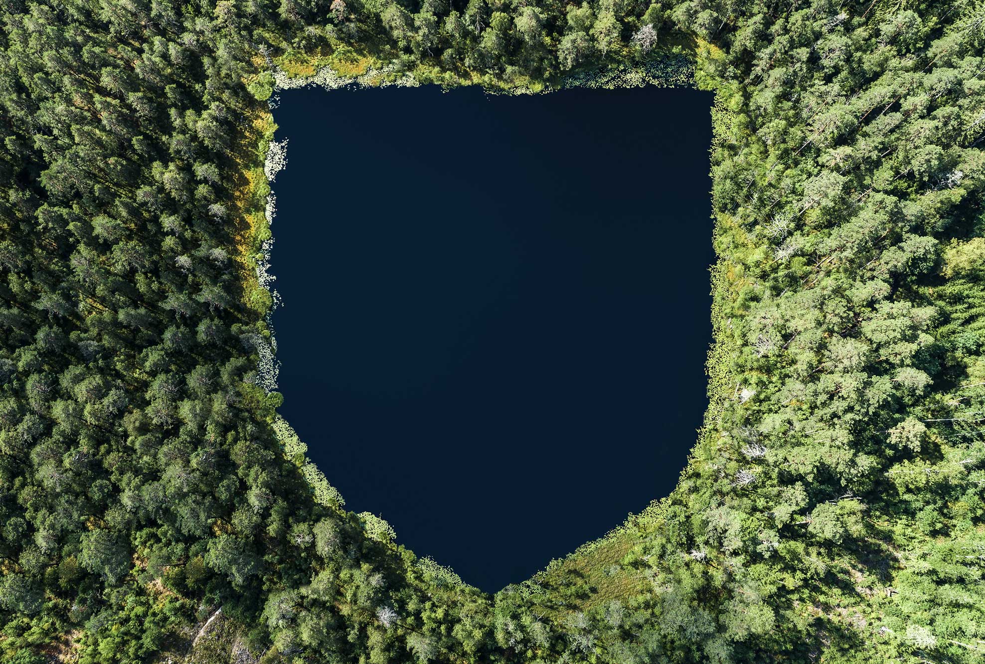 View from above of a shield shaped lake in a forest.