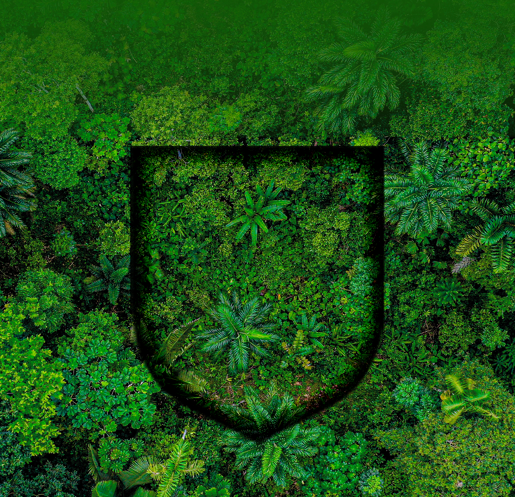 Sustainability
