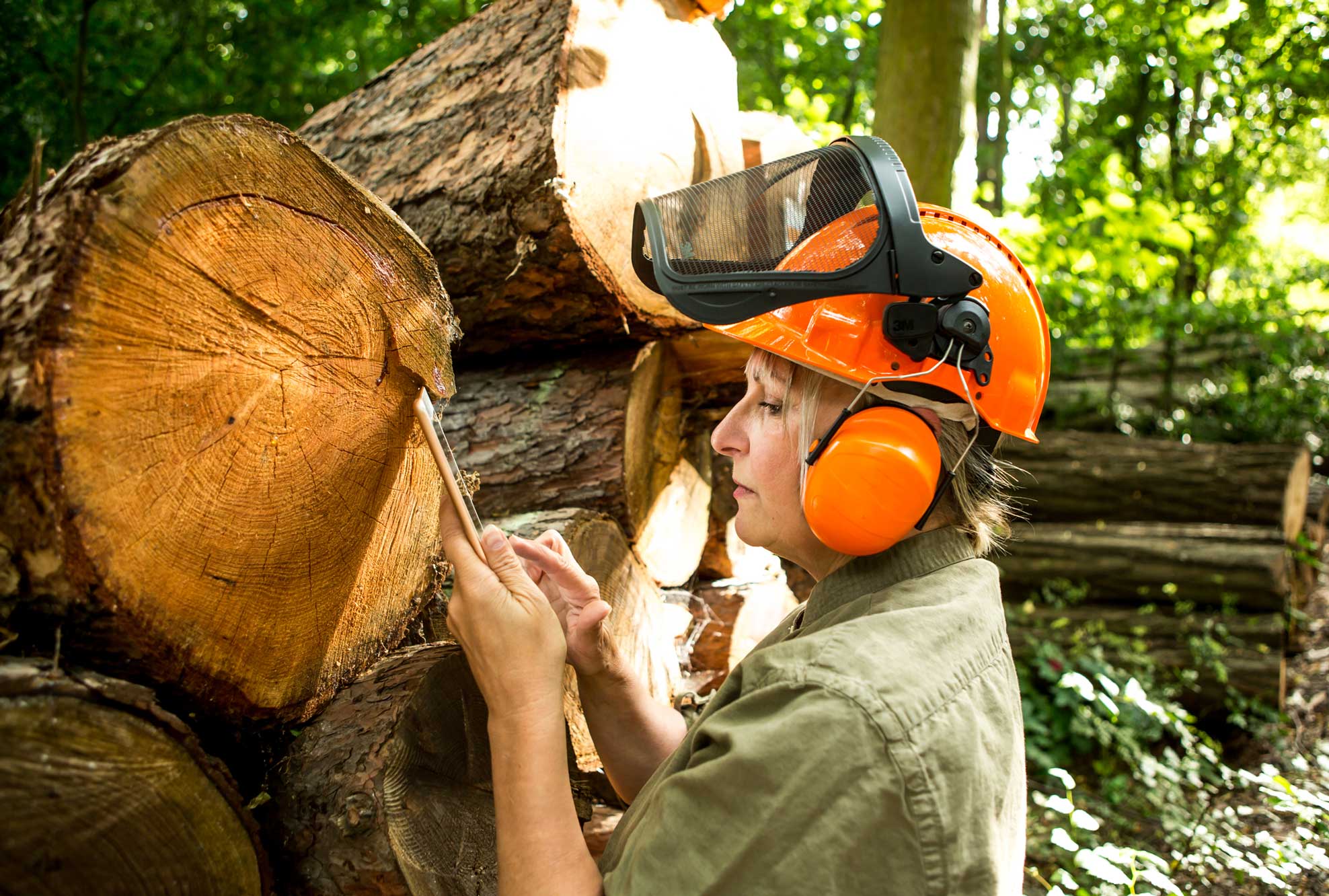 A woman with a tablet devices inspecting felled trees in a forest.