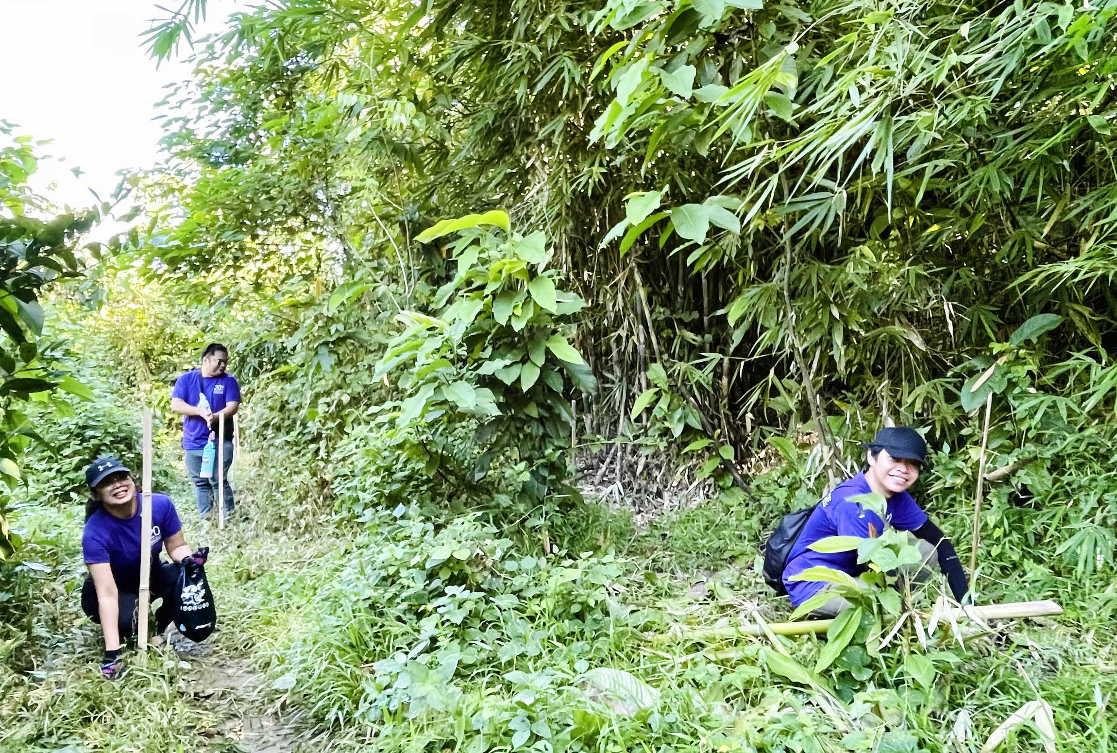 Colleagues in the Philippines volunteering to plant trees. 