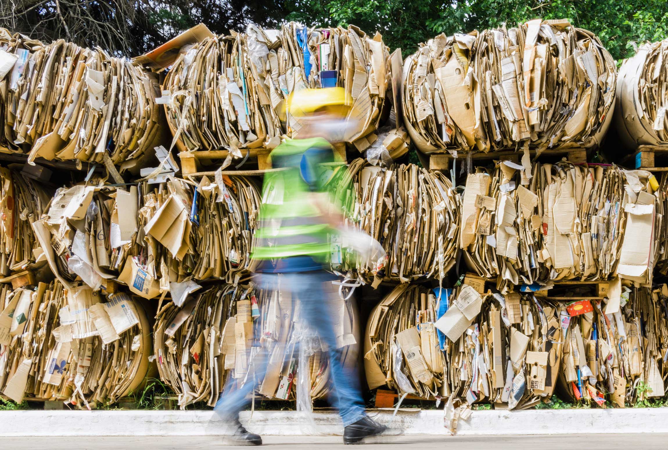 A recycling plant worker walking past sorted cardboard bales ready to be sen for recycling.