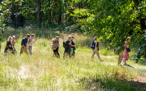 People walking through grass