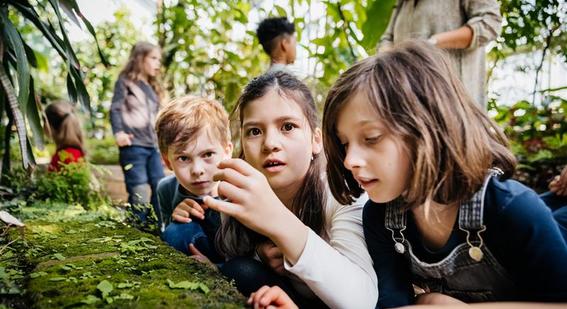 Three School Children Looking Carefully At Moss In Botanic Gardens  