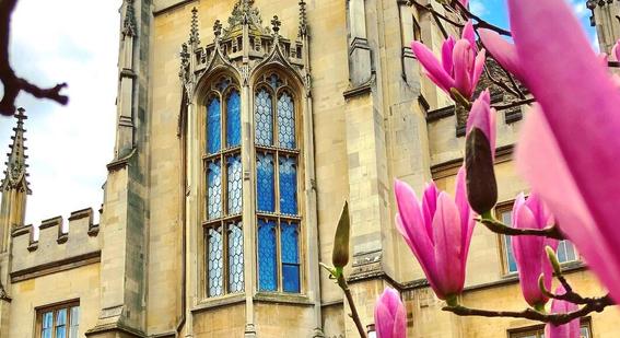 Pitt building exterior with pink magnolia in the foreground