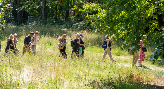 People walking through grass