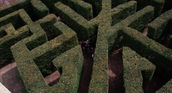 Birds eye view of person walking in a maze